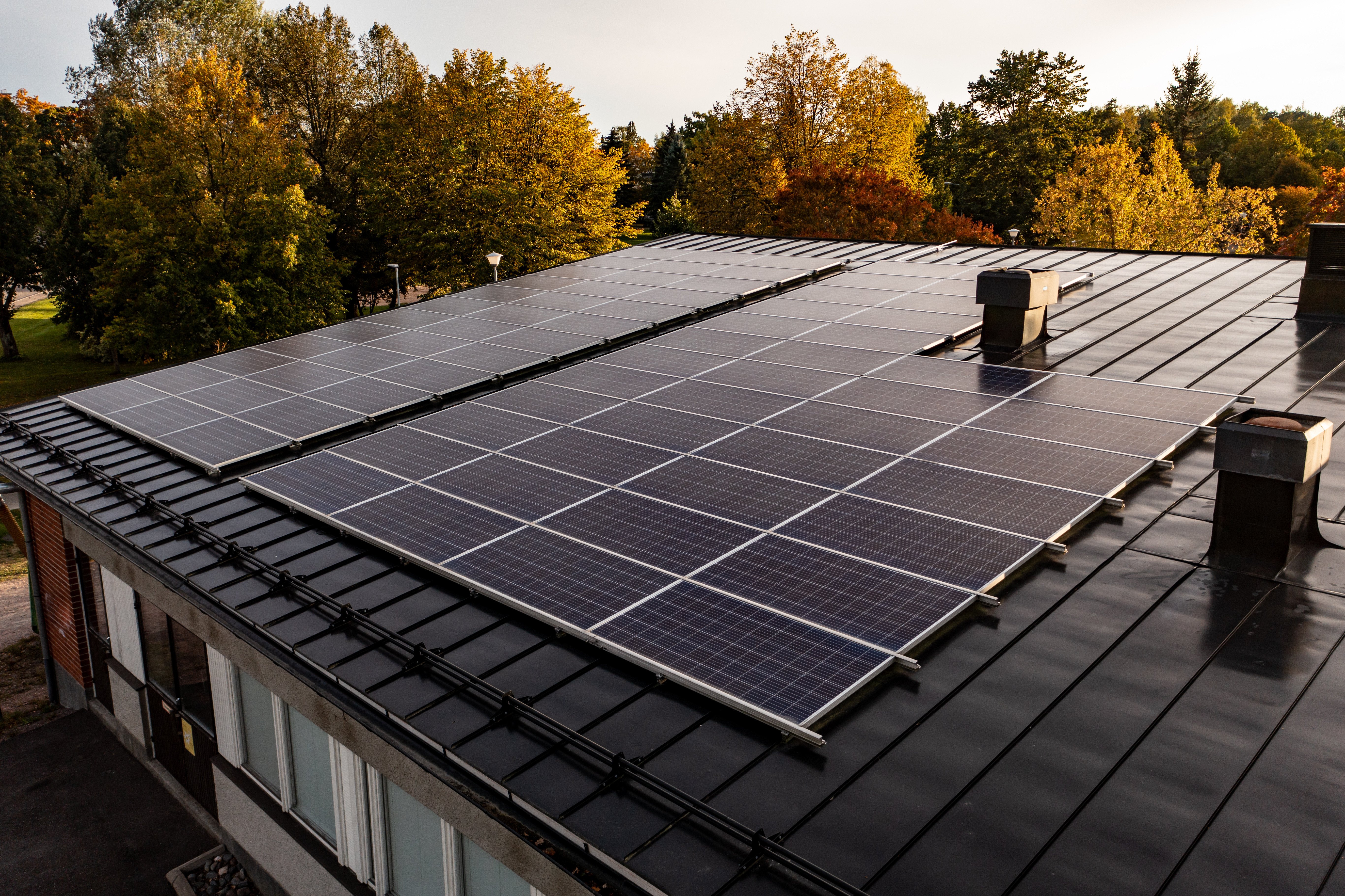 solar panels generating power and saving money